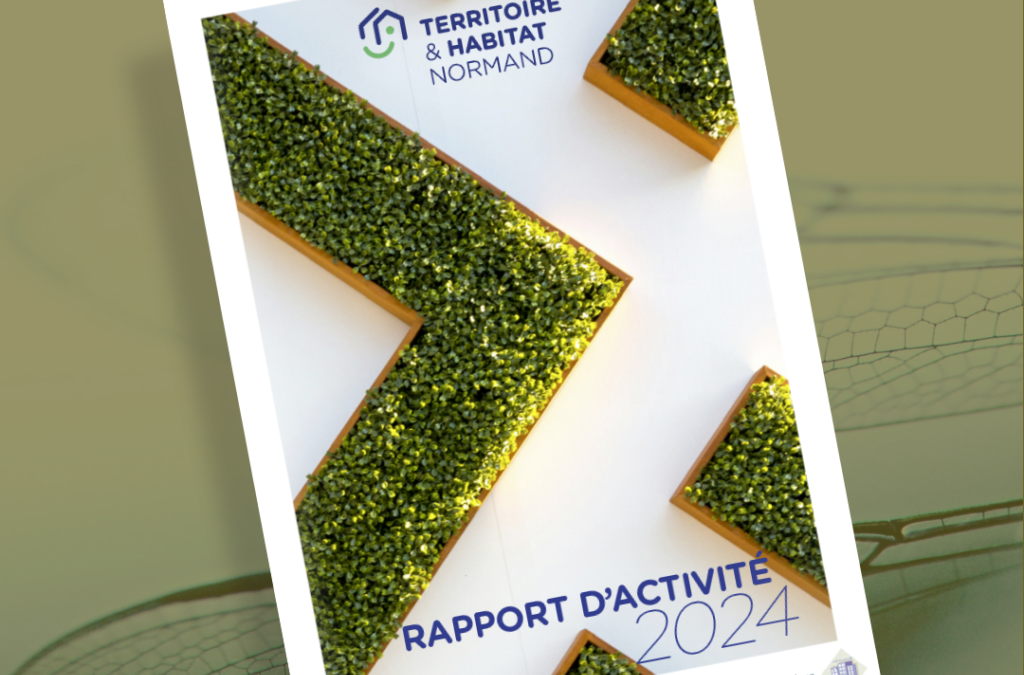 [T&HN] Découvrez le Rapport d&rsquo;activité 2024